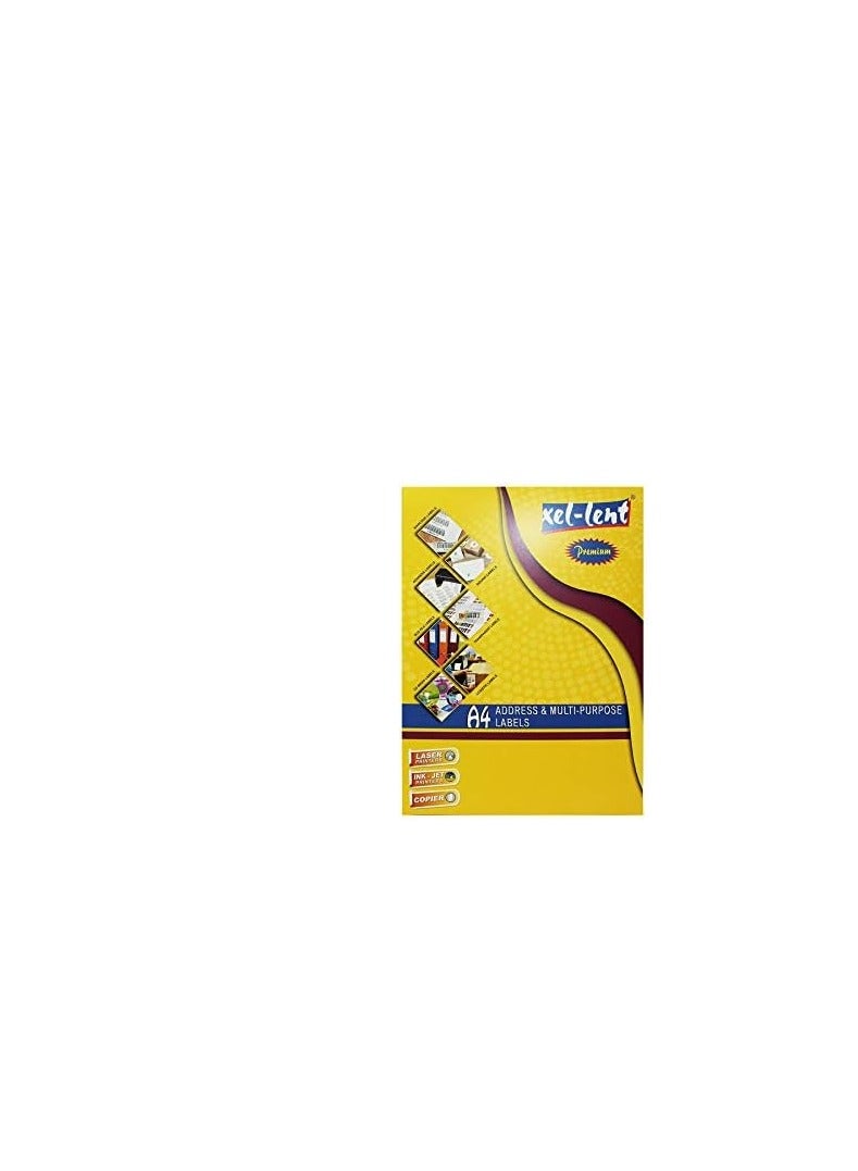 Laser Labels - CD Labels A4-117 MM X 117 MM -17 MM Dia -2 Labels/Sheet - Each Packet 100 Sheets (1 Carton of 10 Packets) - Image 2