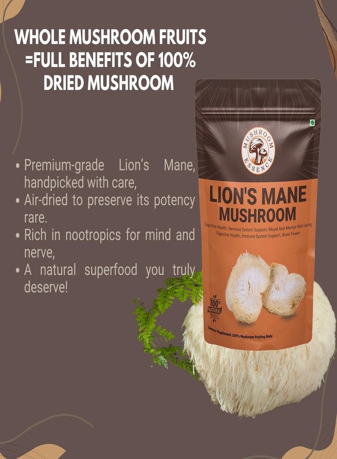MUSHROOM ESSENCE خلاصة فطر عرف الأسد المجفف ٥٠ غرام | ثمرة نقية | نباتي، طبيعي | خالٍ من المواد المالئة والإضافات | يُستخدم تقليديًا لتحسين صفاء الذهن والصحة العامة - Image 3