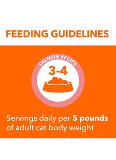 Iams IAMS Perfect Portions Indoor Adult Grain Free Wet Cat Food Paté, Salmon Recipe, 2.6 oz. Easy Peel Twin-Pack Trays (24 Count, 48 Servings)  - Image 5