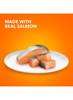 Iams IAMS Perfect Portions Indoor Adult Grain Free Wet Cat Food Paté, Salmon Recipe, 2.6 oz. Easy Peel Twin-Pack Trays (24 Count, 48 Servings)  - Image 2