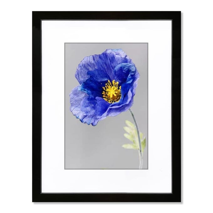 17X22 FRAME BLACK PERFECT FOR 17X22 INCH PICTURE WITHOUT MAT OR 12X18 INCH PICTURE WITH MAT HOME WALL DECOR PICTURE FRAME1 PCS