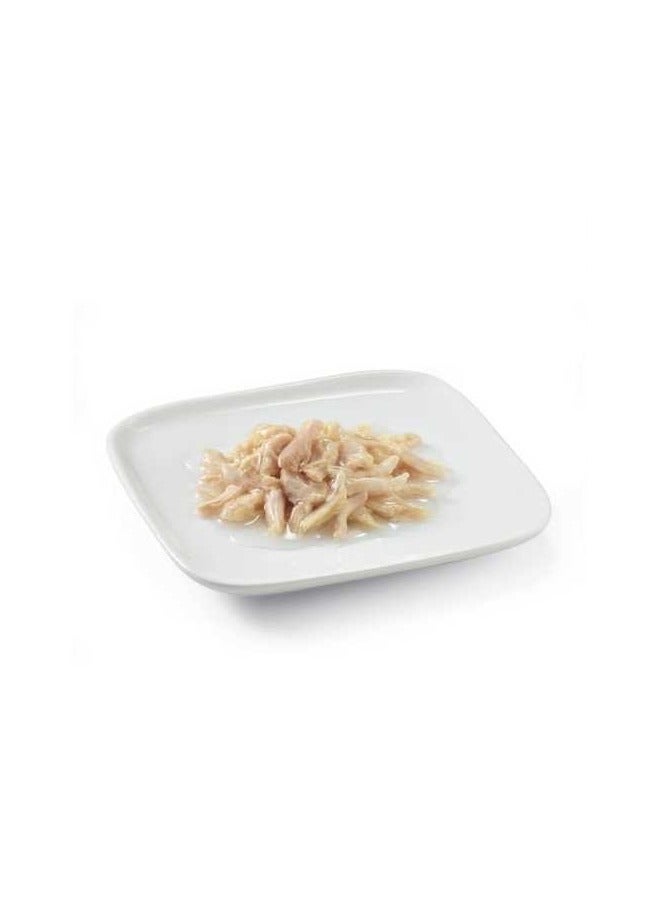 Schesir Chicken Natural Style Wet Food For Adult Small Dogs - Image 2