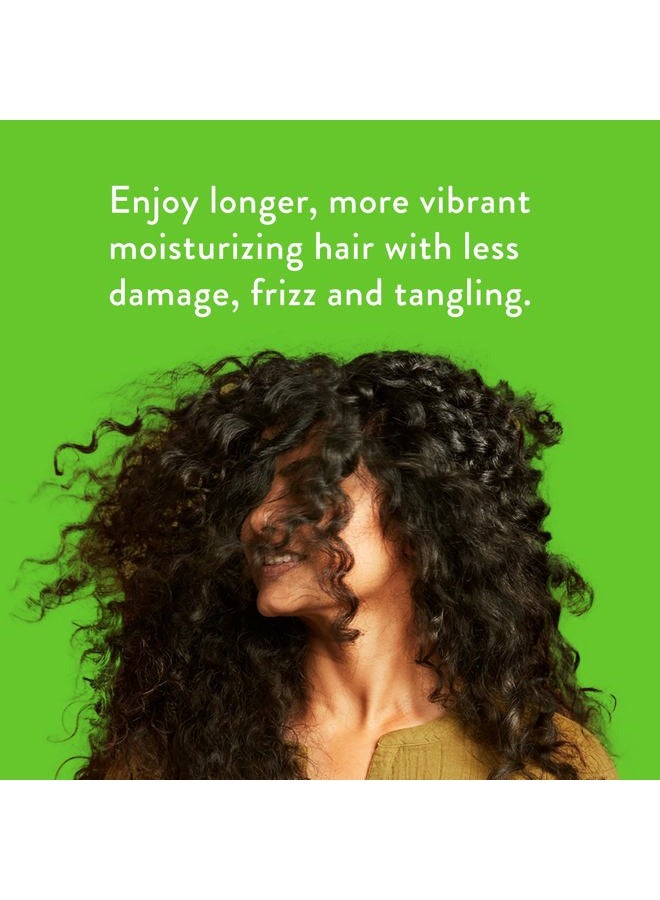 native شامبو وبلسم يحتويان على مكونات طبيعية | لجميع أنواع الشعر الملون والمعالج من الناعم إلى الجاف التالف، خالي من الكبريتات والأصباغ - خيار ونعناع، 16.5 أونصة سائلة لكل منهما (عبوة 2) - Image 3