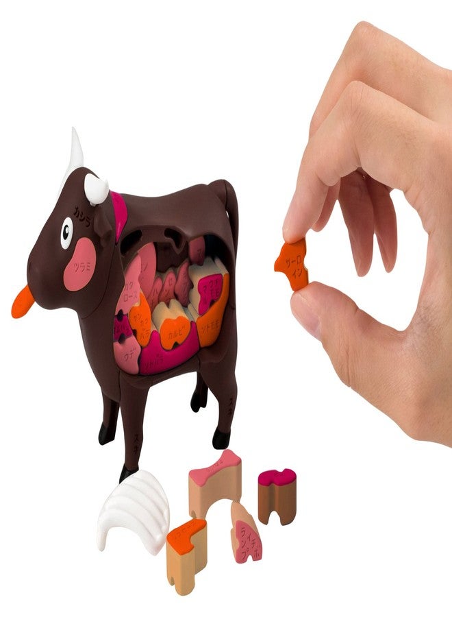 ميجا هاوس Megahouse - لغز لحم البقر، لغز Kaitai - Image 1