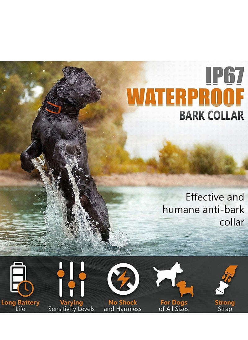 Y&D - Dog Bark Collar for Large Small Medium Dogs 5-150 Lbs, No Shock no with Smart Sensitivity & Intensity Beep Vibration Release, Anti Barking Behavior Training Device - Image 1