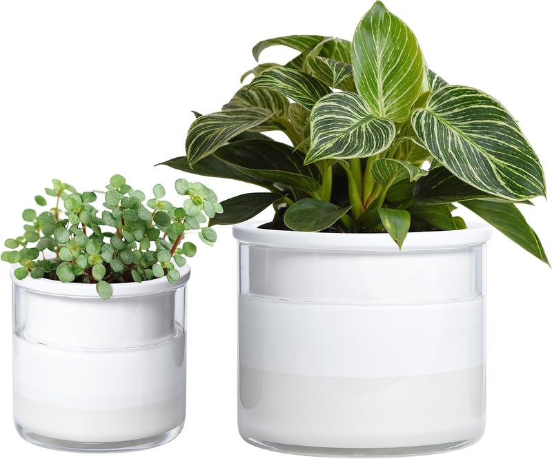 Phoenix Vine 6 Inch 4 Inch Self Watering Planter Pots, Design White Terracotta Pots for Plants, Indoor Cylinder Terra Cotta Pots with Glass Vase Set, 51-B-G - Image 1