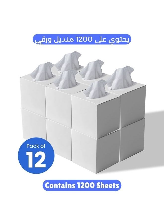 NICE Touch 2 Ply Facial Tissue 1200 Sheets in Cube Boxes - Contains 12 Box of 100 Premium Quality Soft and Absorbent Tissues  - Image 1