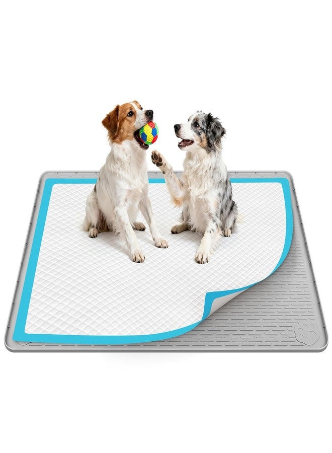 Lanstics 40"x28" Pee Pad Holder for Dogs Puppy Pad Holder Silicone Pee Tray for Dog Training Floor Protection Raised Edge Dog Potty Tray, No Pee Pads(Grey) - Image 1