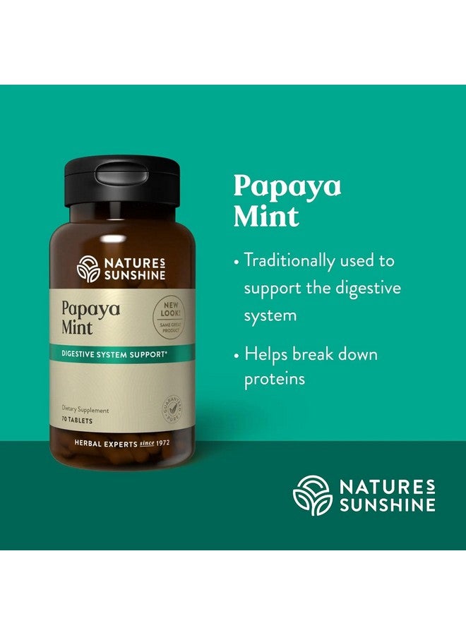 NATURE'S SUNSHINE أقراص بابايا بالنعناع من ناتشرز سنشاين، 70 قرص قابل للمضغ - Image 3