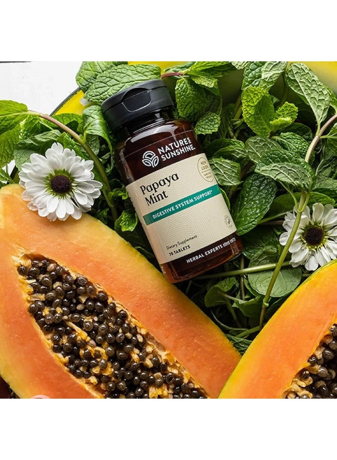 NATURE'S SUNSHINE أقراص بابايا بالنعناع من ناتشرز سنشاين، 70 قرص قابل للمضغ - Image 2