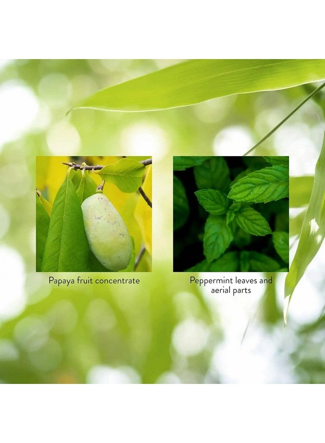 NATURE'S SUNSHINE أقراص بابايا بالنعناع من ناتشرز سنشاين، 70 قرص قابل للمضغ - Image 4