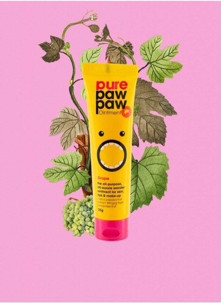 Pure Paw Paw Ointment With Grape Yellow 25G - pzsku/Z311BB742F2A25EB69A74Z/45/_/1655550662/6989e590-b2f3-47f4-bc58-b66113f3146b