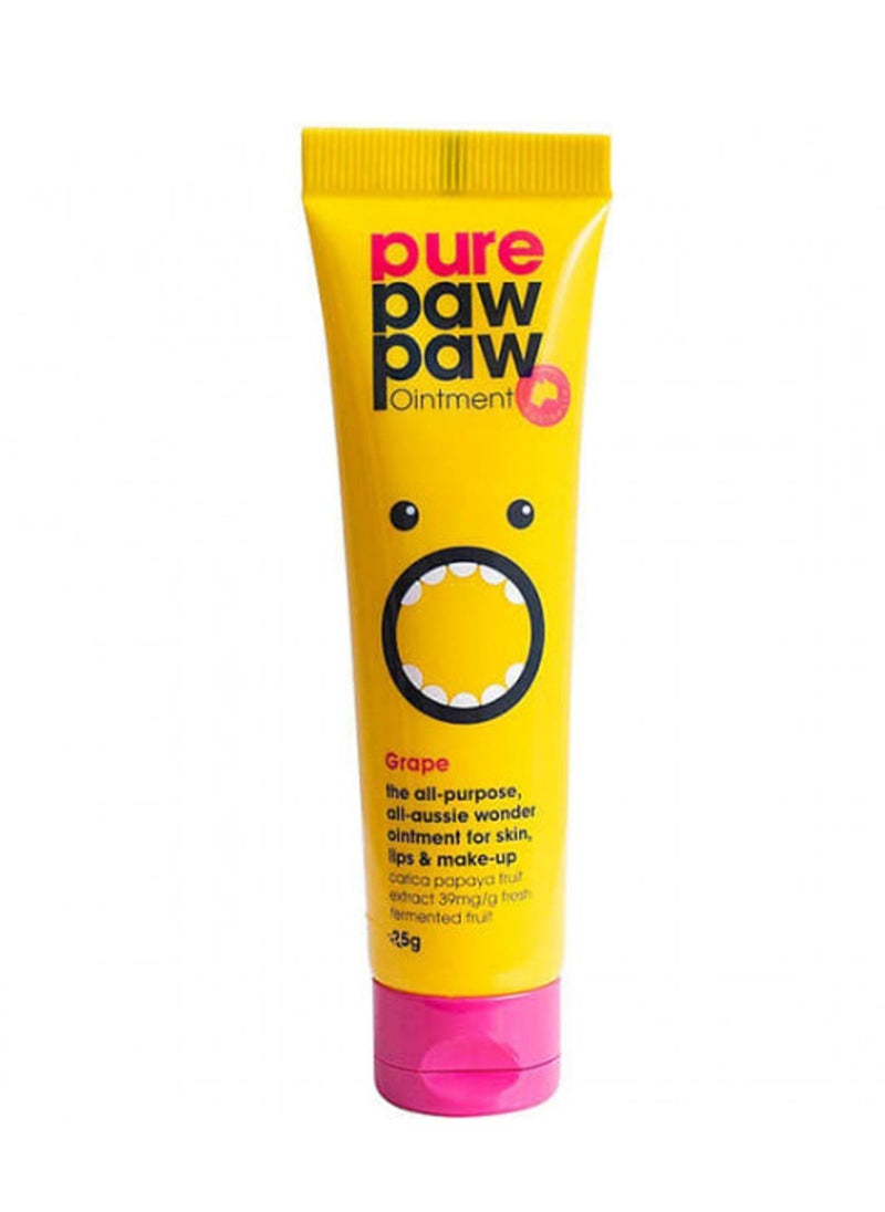 Pure Paw Paw Ointment With Grape Yellow 25G - pzsku/Z311BB742F2A25EB69A74Z/45/_/1655550663/0f8dbbc0-df38-44bb-ad25-fd78cd9ca6b4