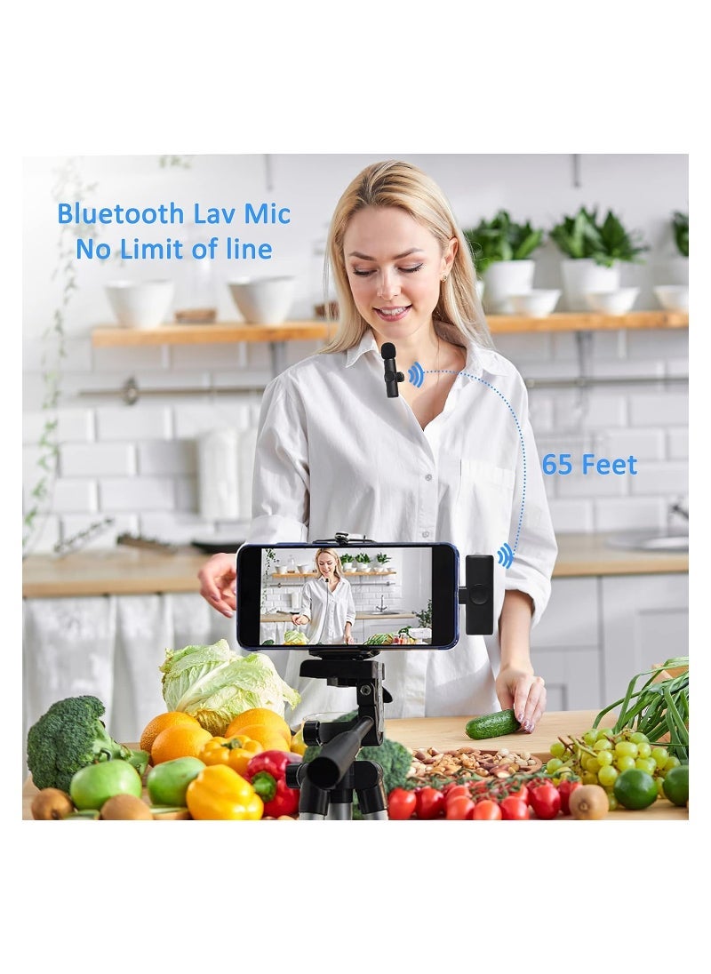 Gravity Wireless Lavalier Microphone for iPhone/iPad, Mini Plug-Play Wireless Lapel Mic for Recording TikTok YouTube Live, Noise Reduction/Monitor Sound/Reverberation Microphone - Image 3