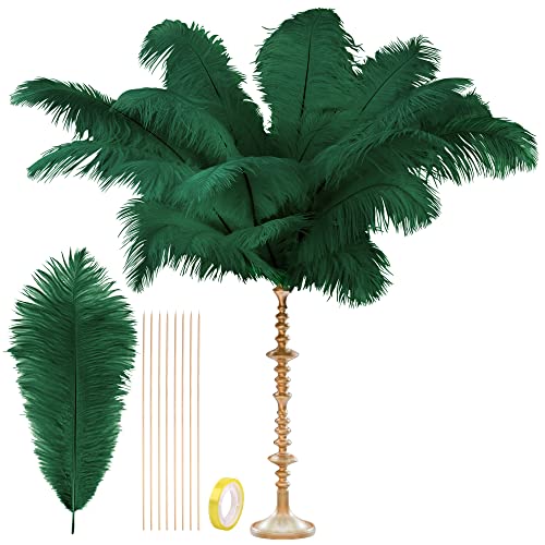 CROWN GUIDE Black Ostrich Feathers Bulk 10 Pieces Making Kit 28 Inch Long Large Feathers for Crafts Vase Centerpieces Feather Lamp Wedding Party Pack Flower Arrangement Home Decoration Green - Image 1