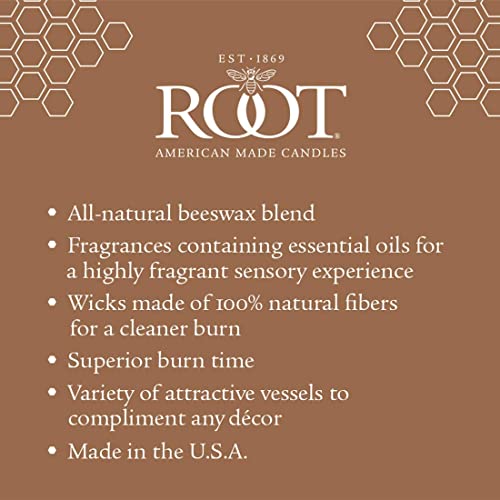 Root Candles Unscented Dinner Candles Premium Beeswax Blend Boxed Candle Set, 5-Inch, Red, 8-Count - Image 4