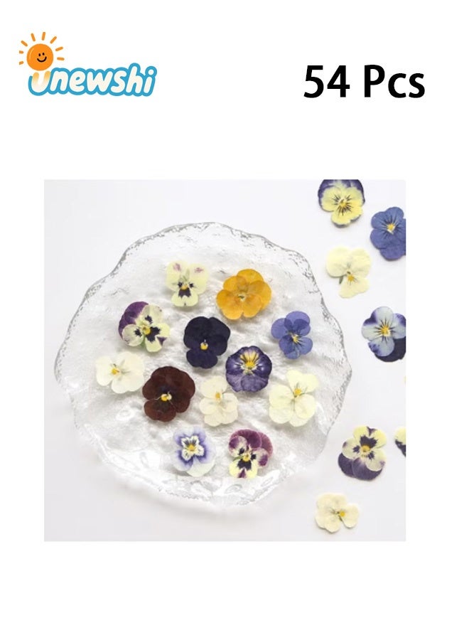 أخبار 54 قطعة من الزهور المجففة المضغوطة للراتنج، الحرف اليدوية، الزهور الطبيعية المجففة، الإيبوكسي، المجوهرات، ديكورات الزهور الحقيقية، الكعك، حافظات الهواتف، الشموع، الصابون المصنوع يدويًا، البنفسجي، البانسيه - Image 1