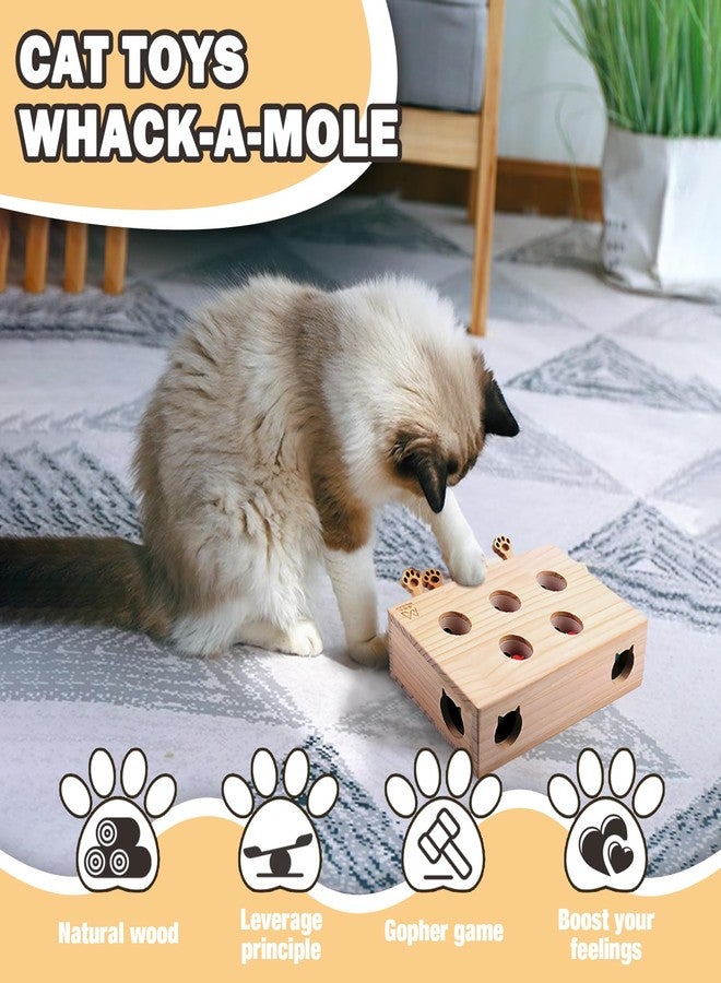 Xanadued Interactive Wooden Cat Toy, Solid Wood Toys for Indoor Cats Kitten Catch Mice Game, Cat Scratcher and Toy, Cat Interactive Toys, Cat Toy for All Ages Cats - Image 4