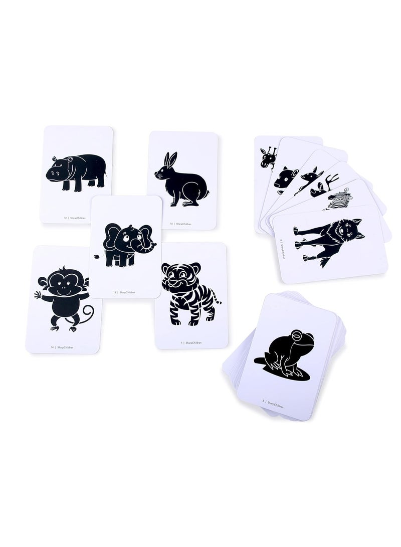 Sharp Children Black & White Cards for Newborns - High Contrast Flash Cards for Babies 0-12 Months - Image 3