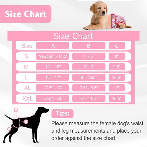 Barklincharm 5 Pack Reusable Diapers for Doggie Highly Absorbent Dog Diapers Female for Pet with Incontinence or Frequent Urination XLarge Dog Diapers Female Flowers - Image 3