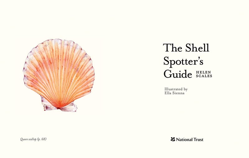 The Shell-spotter's Guide - Image 3