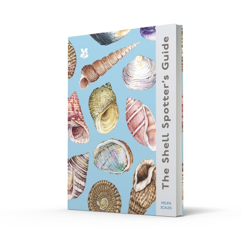 The Shell-spotter's Guide - Image 2