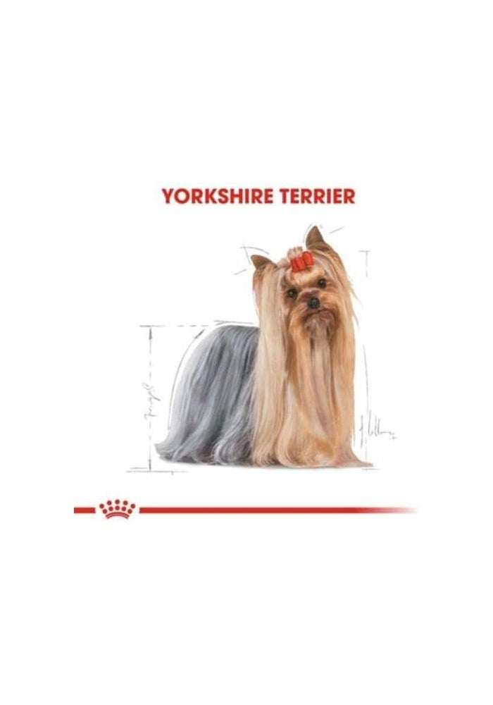 Royal Canin Yorkshire Terrier Adult Wet Dog Food - 85G - Image 3