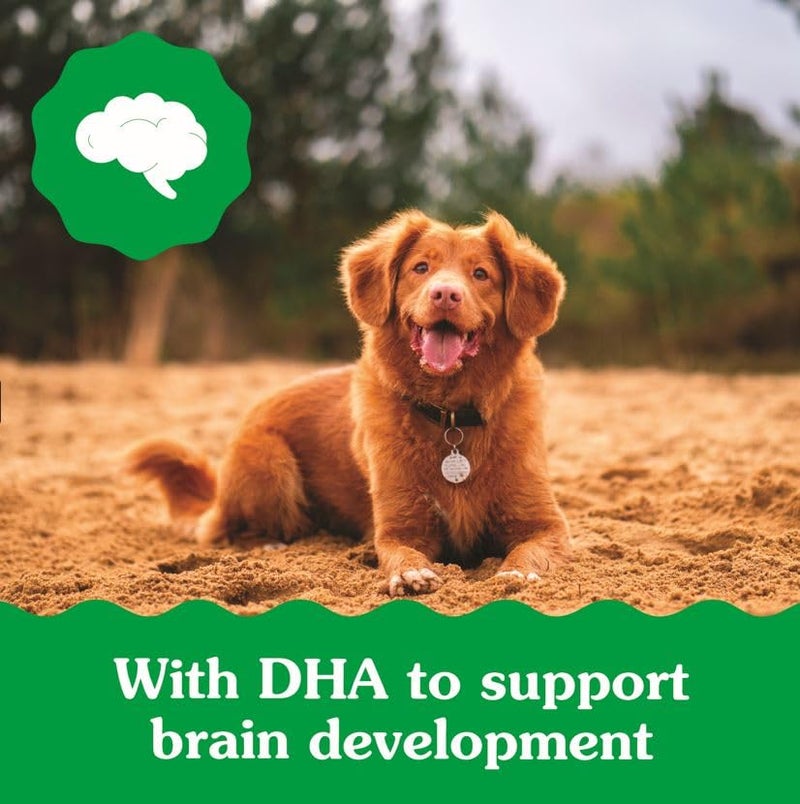 Greenies Veterinarian-Recommended Natural Dental Puppy Treats Regular Size, 6 oz. Pack, 6 Count - Image 4