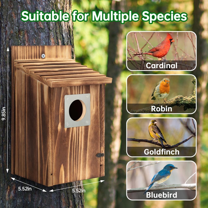 UUMENHA Bird Houses for Outside with Metal Predator Guard for Bluebird Wren Swallow Finch, Carbonized Wooden Nesting Boxes for Outdoor, Sturdy Bird House,Easy to Clean - Image 5