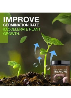 Y&D Soil Activated Treasure, Organic Conditioner, Premium Plant Flower Fertilizer, Activator for Raised Garden Beds, Potting Mix, Lawns and Gardens (200g*3pcs)  - Image 2