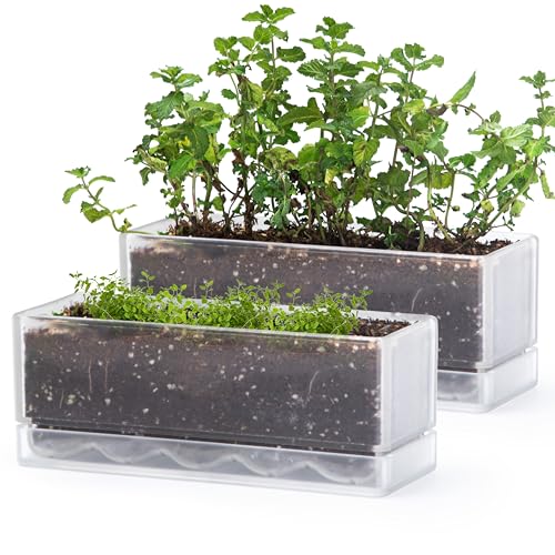 D'vine Dev 12 Inch Window Box Planter, Rectangle Plastic Herb Planter with Drainage Holes and Saucer, Indoor Succulent Cactus Vegetable Pot for Windowsill, Garden Balcony, Clear, Set of 2, 76-X-D-2 - Image 1