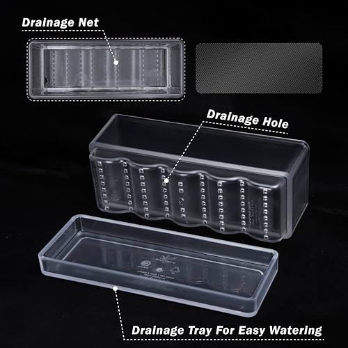 D'vine Dev 12 Inch Window Box Planter, Rectangle Plastic Herb Planter with Drainage Holes and Saucer, Indoor Succulent Cactus Vegetable Pot for Windowsill, Garden Balcony, Clear, Set of 2, 76-X-D-2 - Image 4