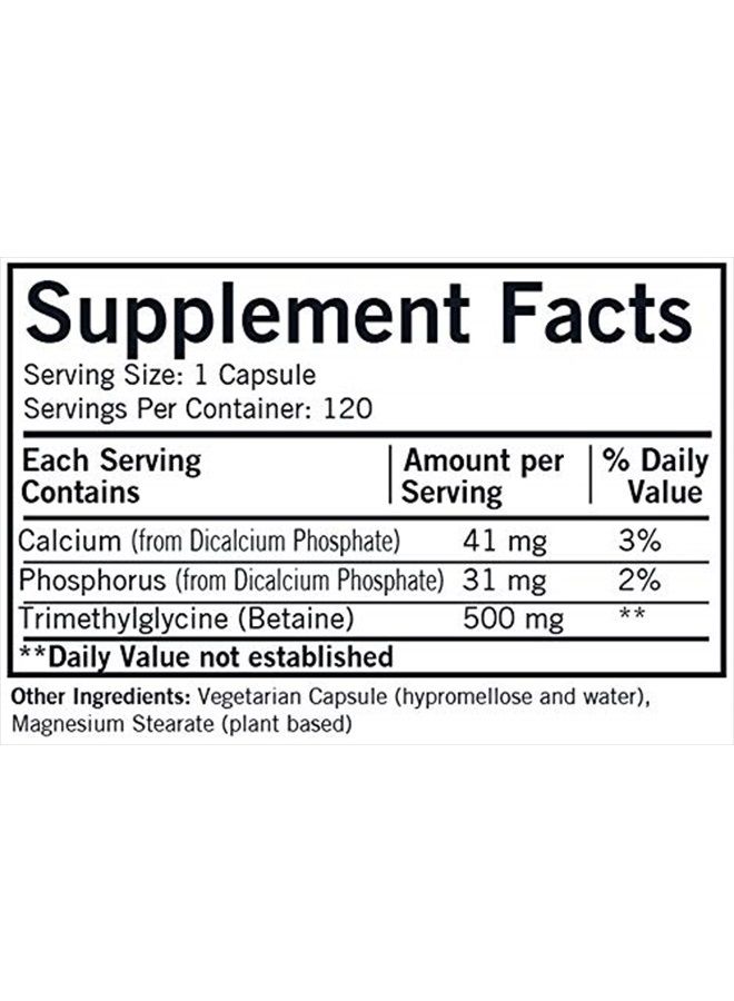 Kirkman TMG 500 mg - Hypoallergenic || 120 Vegetarian Capsules || Trimethylglycine || Gluten Free || Casein Free - Image 2