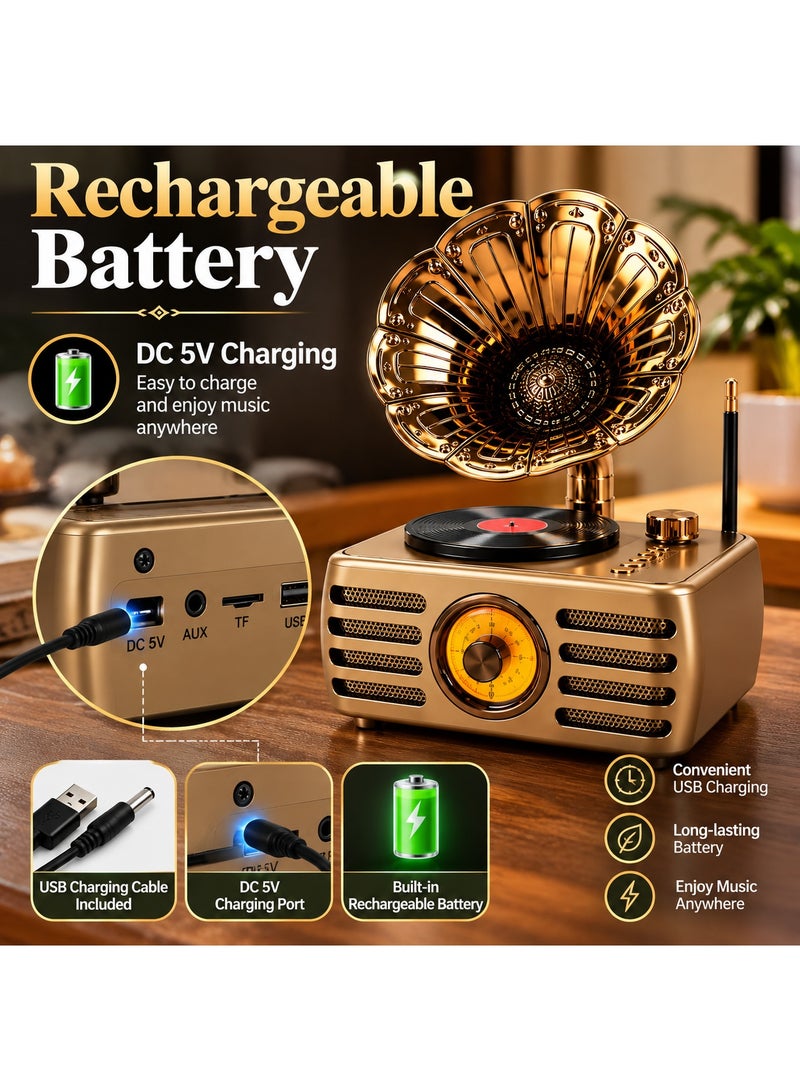 Feexot FX-2538B Retro Vintage Radio Bluetooth Speaker Gramophone Style Home Decor FM AM SW MP3 USB TF Card AUX Rechargeable Battery Multicolor - Image 4