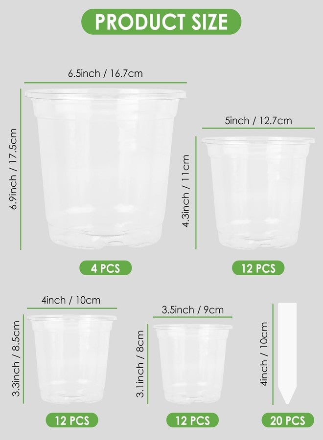 PACETAP 40Pack 6.5/5/4/3.5 Inch Reinforced Clear Nursery Pots with Drainage Holes, Transparent Plastic Plant Pots with 20 Plant Labels for Plants Indoor Outdoor Seed Starter Pot - Image 2