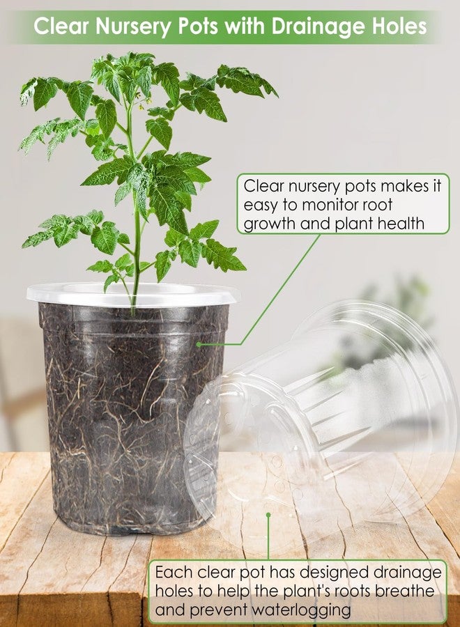 PACETAP 40Pack 6.5/5/4/3.5 Inch Reinforced Clear Nursery Pots with Drainage Holes, Transparent Plastic Plant Pots with 20 Plant Labels for Plants Indoor Outdoor Seed Starter Pot - Image 4