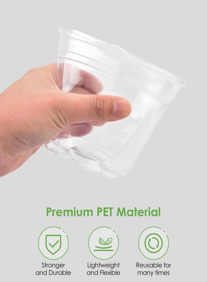 PACETAP 40Pack 6.5/5/4/3.5 Inch Reinforced Clear Nursery Pots with Drainage Holes, Transparent Plastic Plant Pots with 20 Plant Labels for Plants Indoor Outdoor Seed Starter Pot - Image 3
