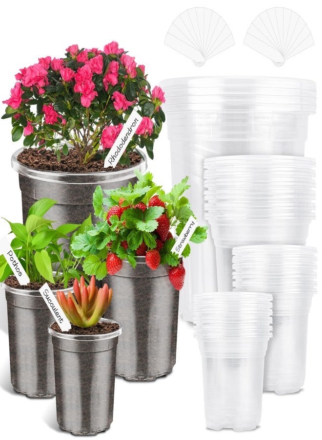 PACETAP 40Pack 6.5/5/4/3.5 Inch Reinforced Clear Nursery Pots with Drainage Holes, Transparent Plastic Plant Pots with 20 Plant Labels for Plants Indoor Outdoor Seed Starter Pot - Image 1