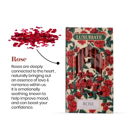 LUXURIATE Rose Gulab Bambooless Incense Dhoop | Natural Herbal Incense Organic Incense, Long-Lasting Incense Stick, Agarbatti for Puja | Luxury Premium Incense - Pack of 1 (20 Sticks) - Image 3