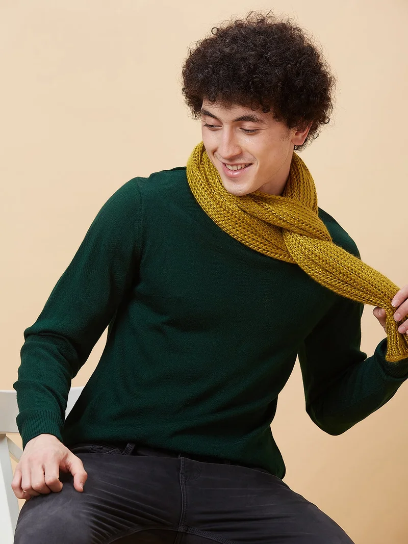 globus Globus Men Green Solid Turtle Neck Pullover Sweater