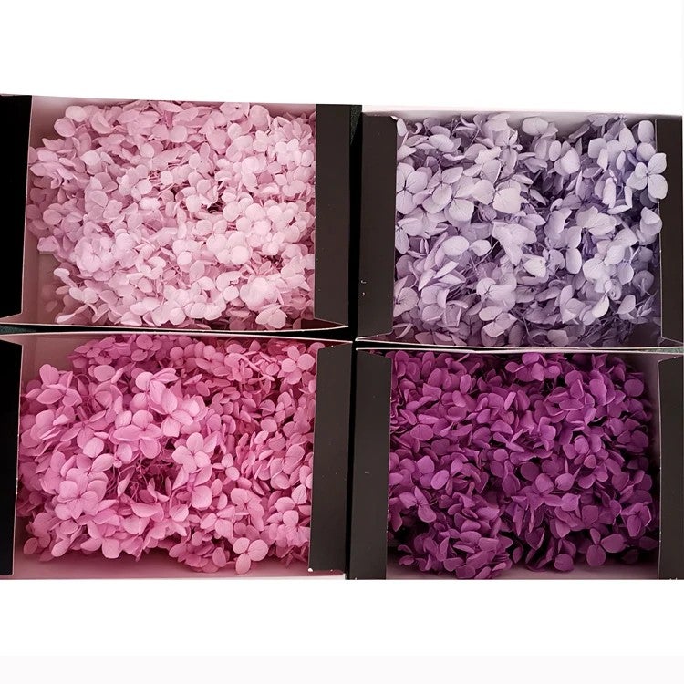 Bluejw Preserved Real Touch Hydrangea in Box – Long-Lasting Dried Plants for Wedding, Party & Festival Decor, DIY Gift Bouquet - Image 3