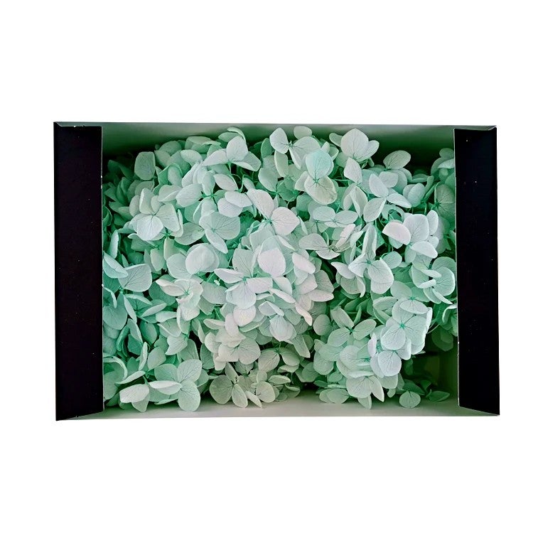 Bluejw Preserved Real Touch Hydrangea in Box – Long-Lasting Dried Plants for Wedding, Party & Festival Decor, DIY Gift Bouquet - Image 1