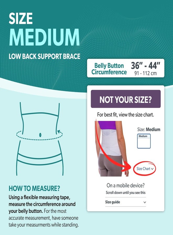 BraceAbility Women's Back Brace for Female Lower Back Pain - Lightweight Soft White Elastic Lumbar Compression Support Belt is Discreet Under Clothes for Ladies, Nurses, Walking (Medium) - Image 2
