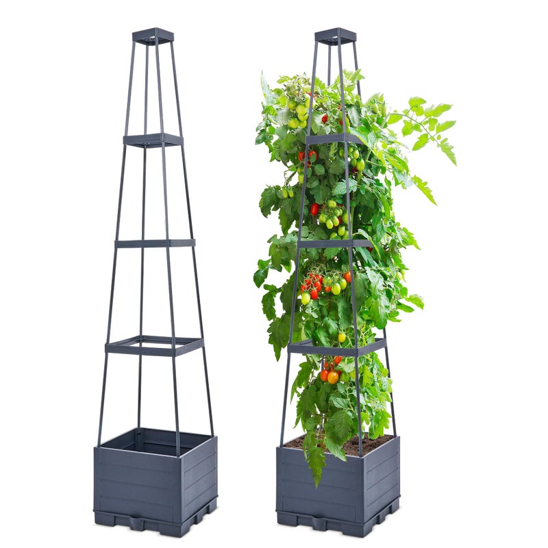 GENMOUS & CO. GENMOUS Raised Garden Bed with Tomato Planter Box Trellis, 56'' Tomato Cages for Garden, Tomato Planter Cage for Patio for Climbing Plants Vegetable Vine Flowers Outdoor & Indoor, 2 Pack - Image 1