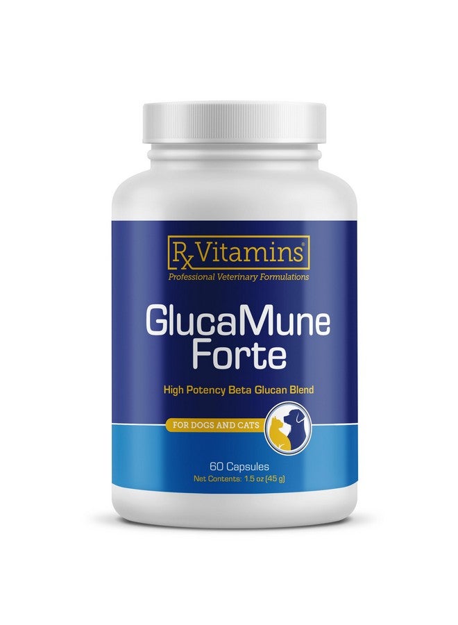ركس فيتامينز فيتامينات Rx GlucaMune Forte - مكمل غذائي لدعم مناعة الكلاب والقطط مع بيتا جلوكان - فيتامينات يومية للكلاب والقطط للقطط المنزلية - 60 قرصًا - Image 1