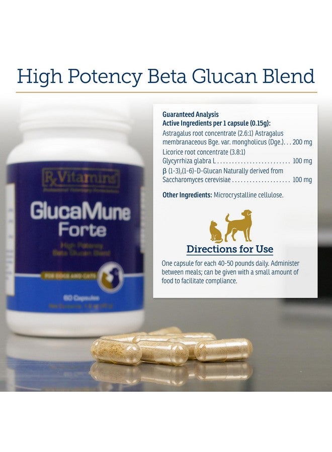 ركس فيتامينز فيتامينات Rx GlucaMune Forte - مكمل غذائي لدعم مناعة الكلاب والقطط مع بيتا جلوكان - فيتامينات يومية للكلاب والقطط للقطط المنزلية - 60 قرصًا - Image 5