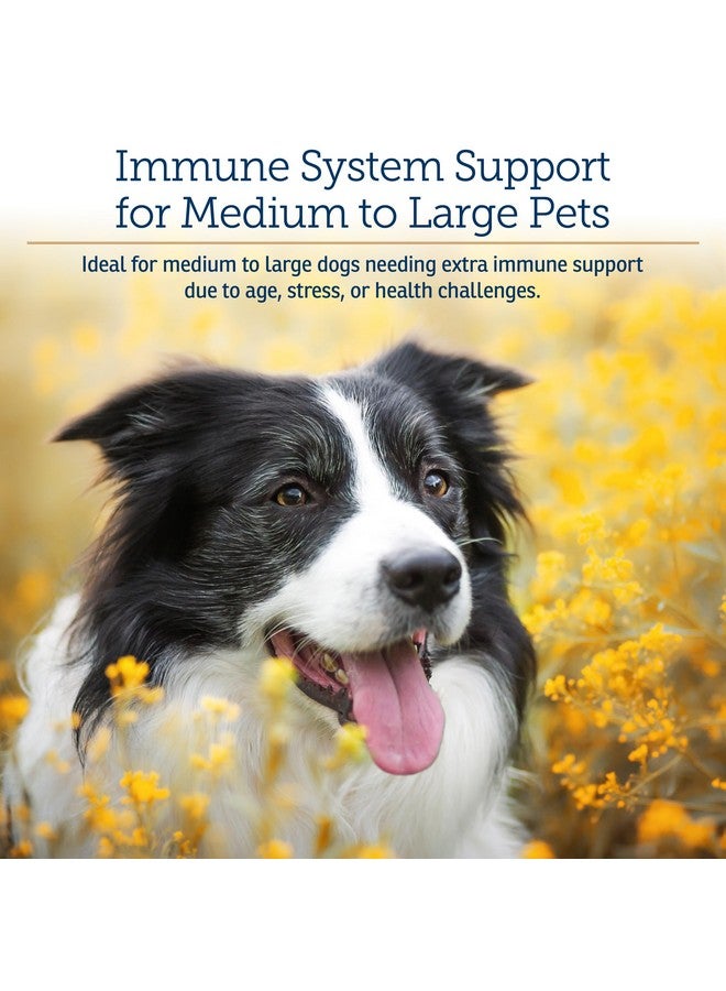 ركس فيتامينز فيتامينات Rx GlucaMune Forte - مكمل غذائي لدعم مناعة الكلاب والقطط مع بيتا جلوكان - فيتامينات يومية للكلاب والقطط للقطط المنزلية - 60 قرصًا - Image 2