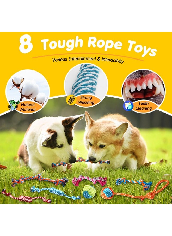 Zeaxuie - 25 Pack Luxury Dog Chew Toys For Puppy, Dog Toys With Ropes Puppy Chew Toys, Treat Ball And Squeaky Puppy Toys For Teething Small Dogs - Image 1