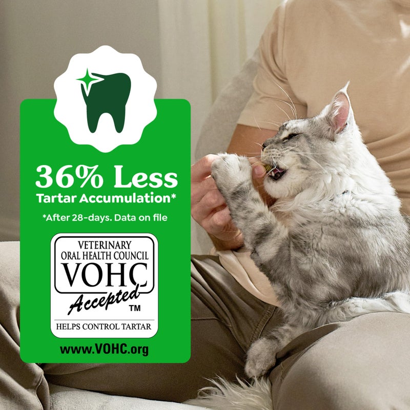 Greenies Feline Veterinarian-Recommended Adult Natural Dental Cat Treats, Oven Roasted Chicken Flavor, 21 oz. Tub - Image 4