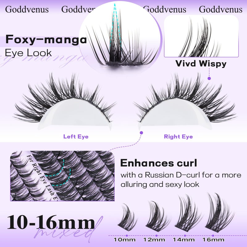 Goddvenus Manga Lash Cluster Kit Wispy Lashes Clusters Fluffy Eyelash Clusters Upturned Foxy Cluster Eyelash Extensions Kit D Curl Fairy Eyelash Extension Kit 10-16mm Individual Lashes Kit - Image 3